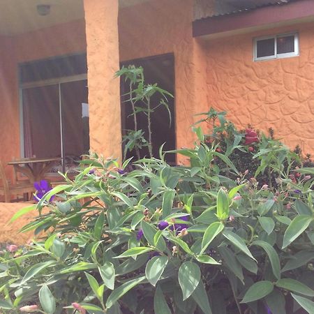 Cabinas Los Guayabos Hotel La Fortuna Bagian luar foto