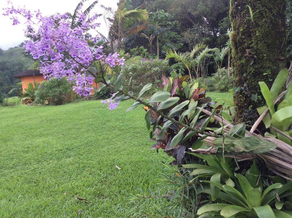 Cabinas Los Guayabos Hotel La Fortuna Bagian luar foto
