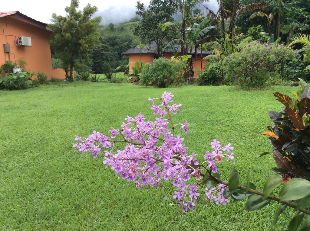 Cabinas Los Guayabos Hotel La Fortuna Bagian luar foto