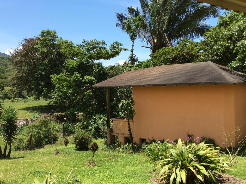 Cabinas Los Guayabos Hotel La Fortuna Bagian luar foto