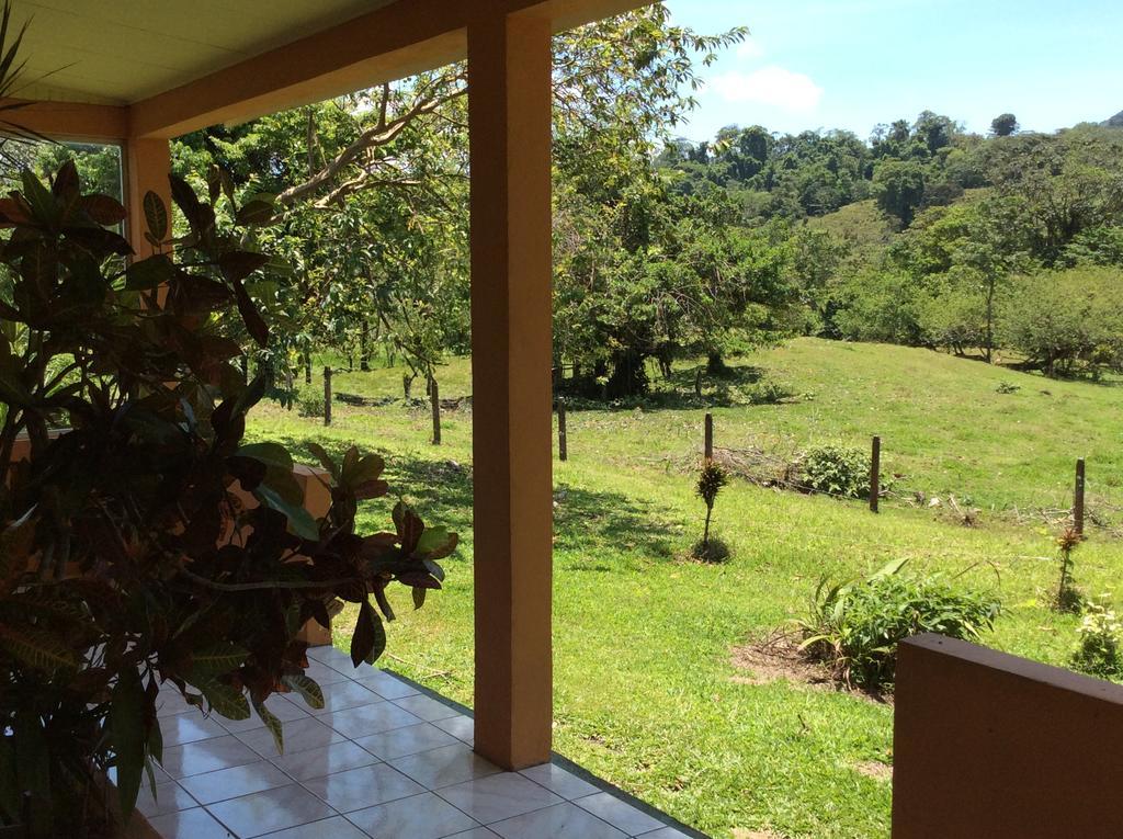 Cabinas Los Guayabos Hotel La Fortuna Bagian luar foto