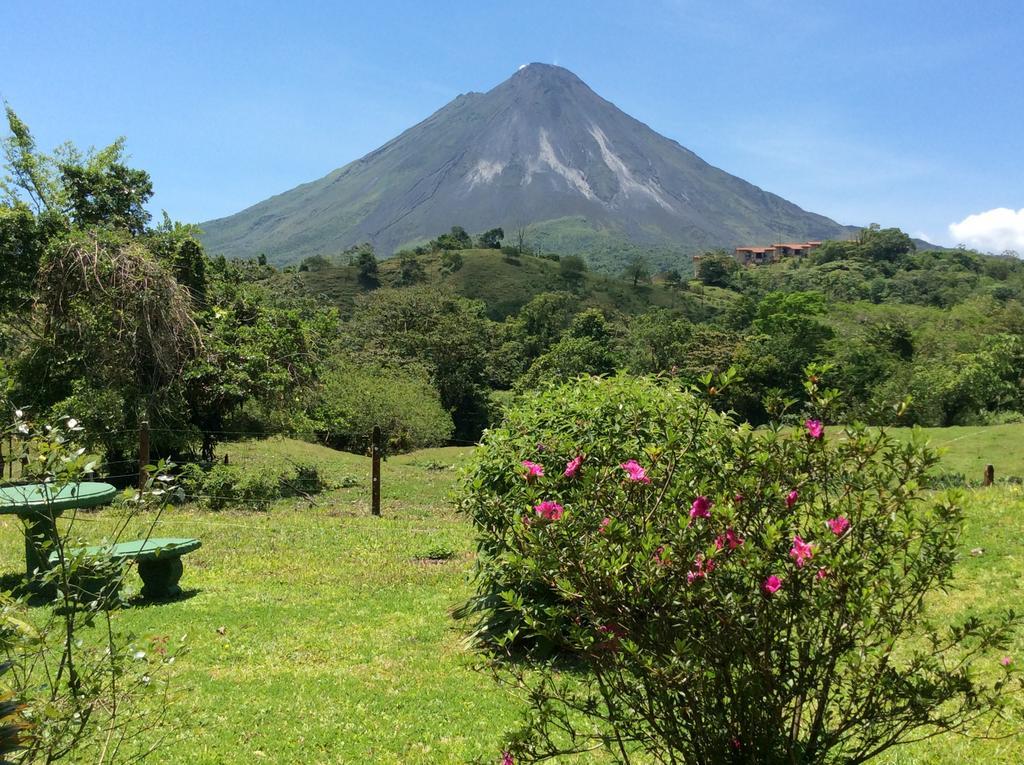 Cabinas Los Guayabos Hotel La Fortuna Bagian luar foto
