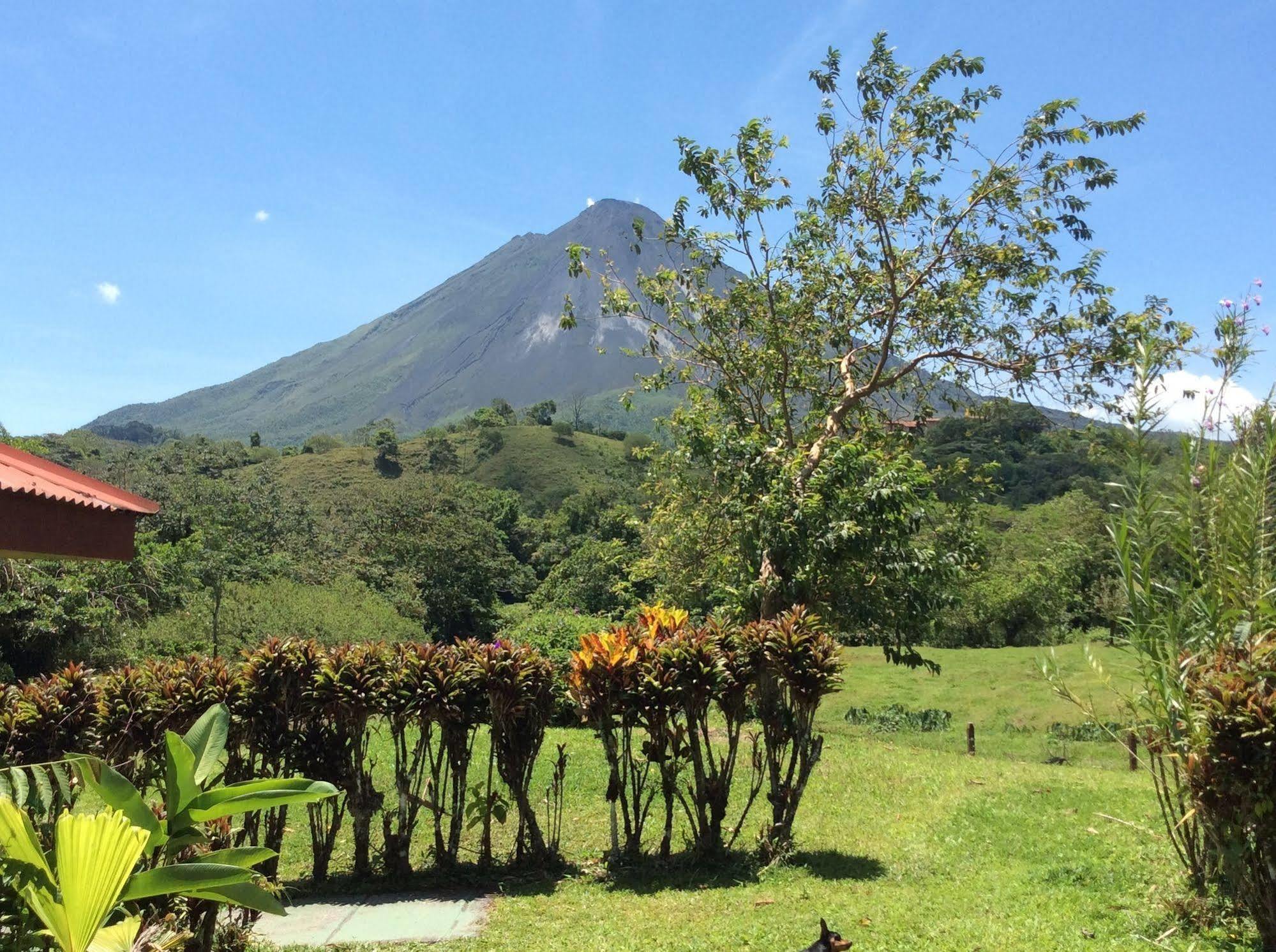 Cabinas Los Guayabos Hotel La Fortuna Bagian luar foto