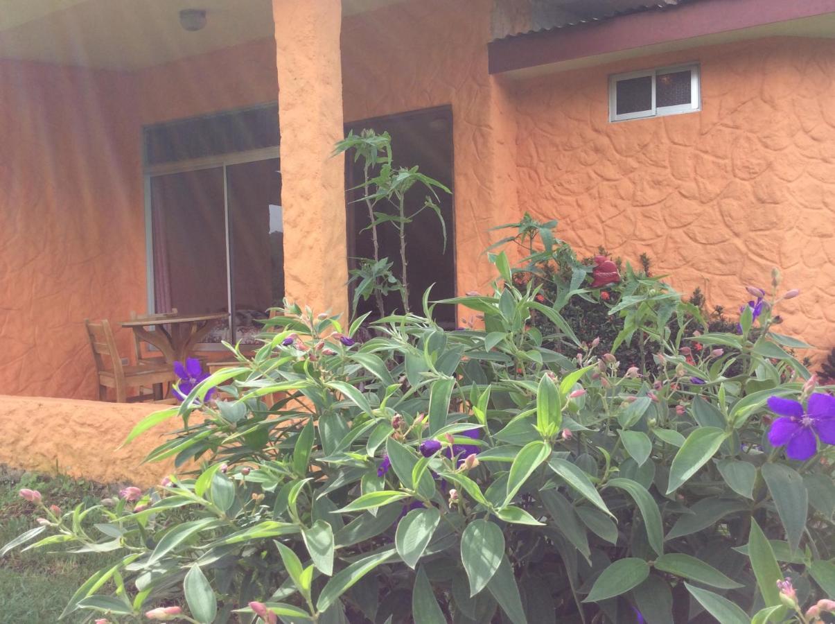 Cabinas Los Guayabos Hotel La Fortuna Bagian luar foto